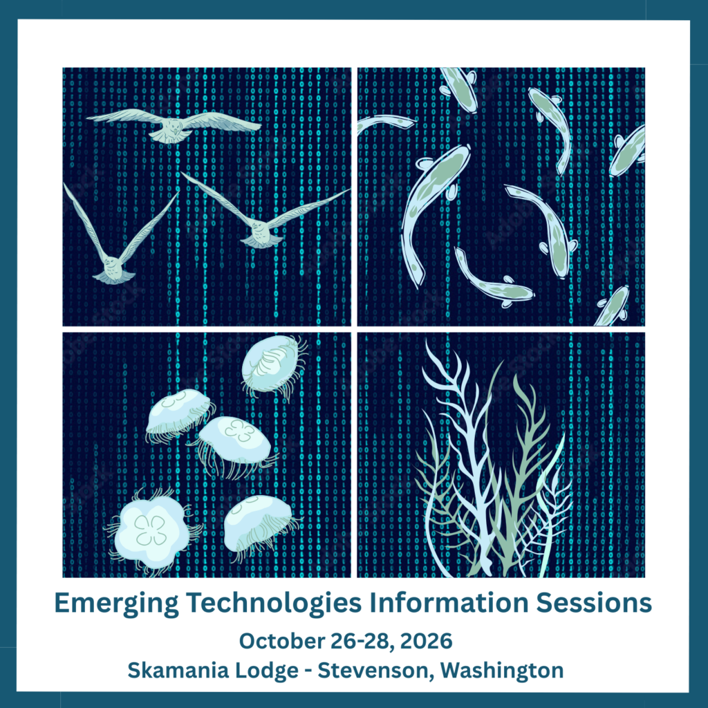 A logo depicting, fish, jellyfish, seaweed, and seagulls with binary code in the background